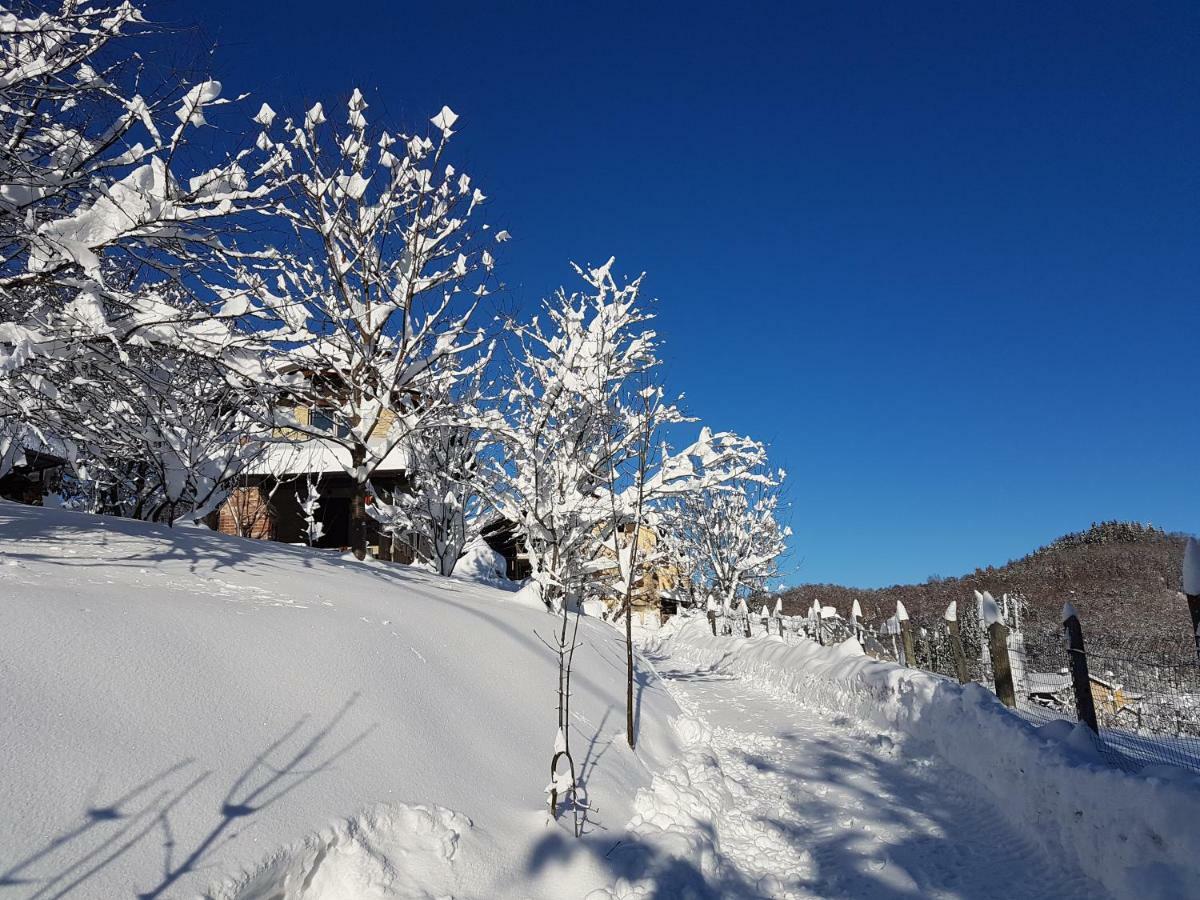 Casa Vacanze Le Primule Peveragno Eksteriør bilde