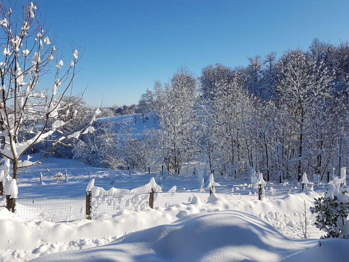 Casa Vacanze Le Primule Peveragno Eksteriør bilde